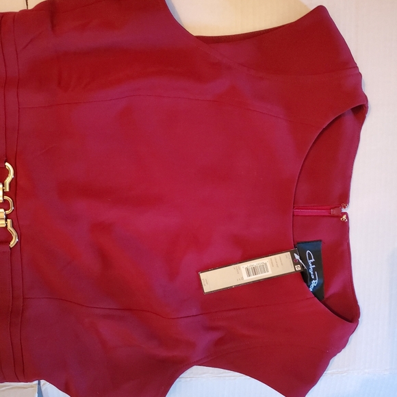 Chelsea Rose Dress - Picture 3 of 6